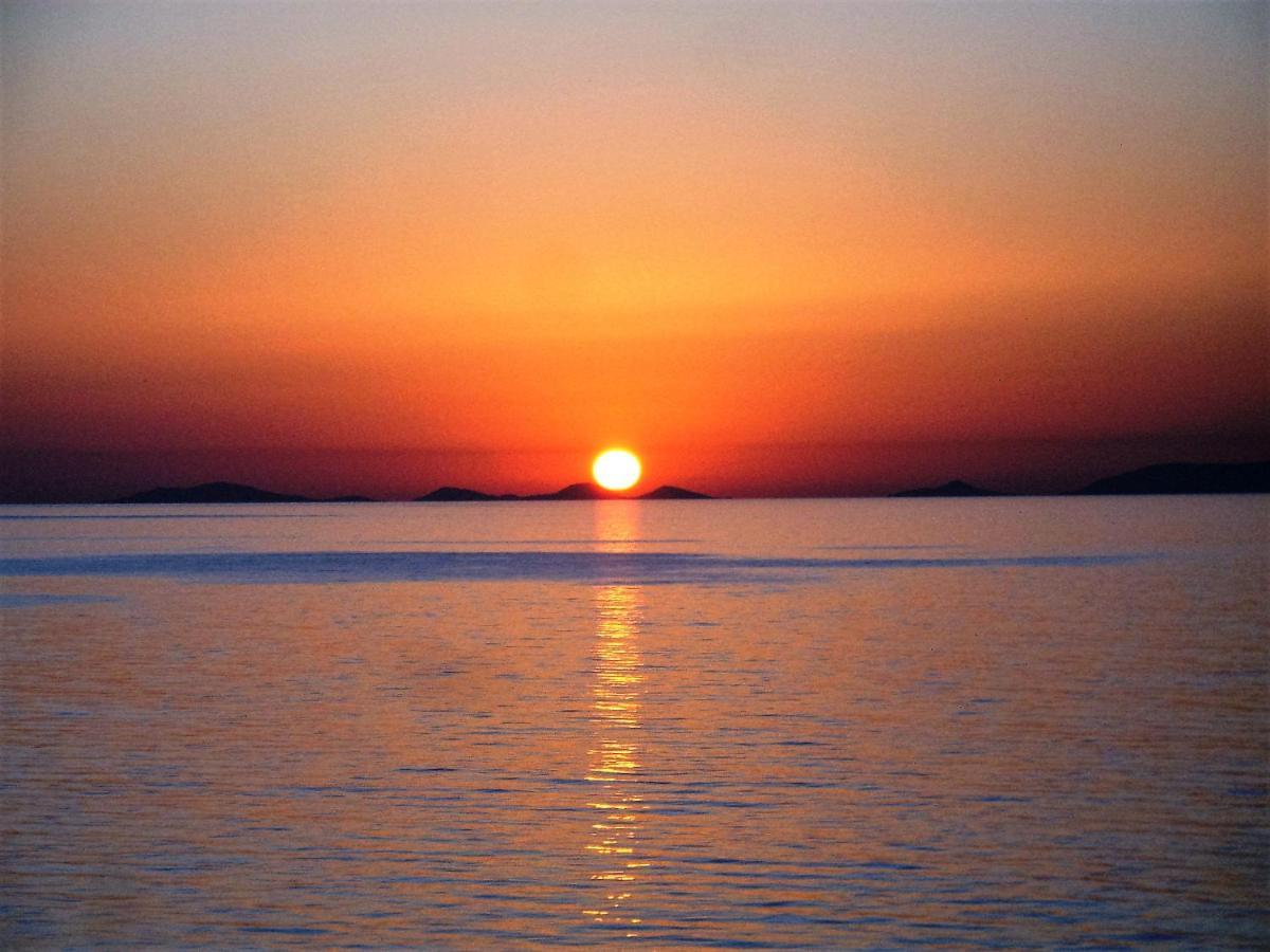 Alba Stupendo Appartamento In Villa Fronte Mare - Golfo Dell'Asinara - Internet Free Valledoria  Extérieur photo