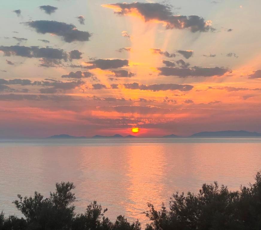 Alba Stupendo Appartamento In Villa Fronte Mare - Golfo Dell'Asinara - Internet Free Valledoria  Extérieur photo